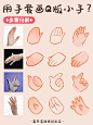 插画教程｜用手套画出16个Q版手势‼️ - 小红书