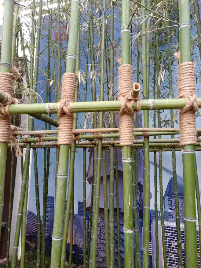 竹子捆扎-花瓣网