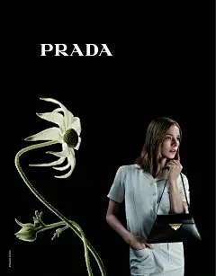 家人们壁纸上新了_3_一颗红豆_来自小红书网页版