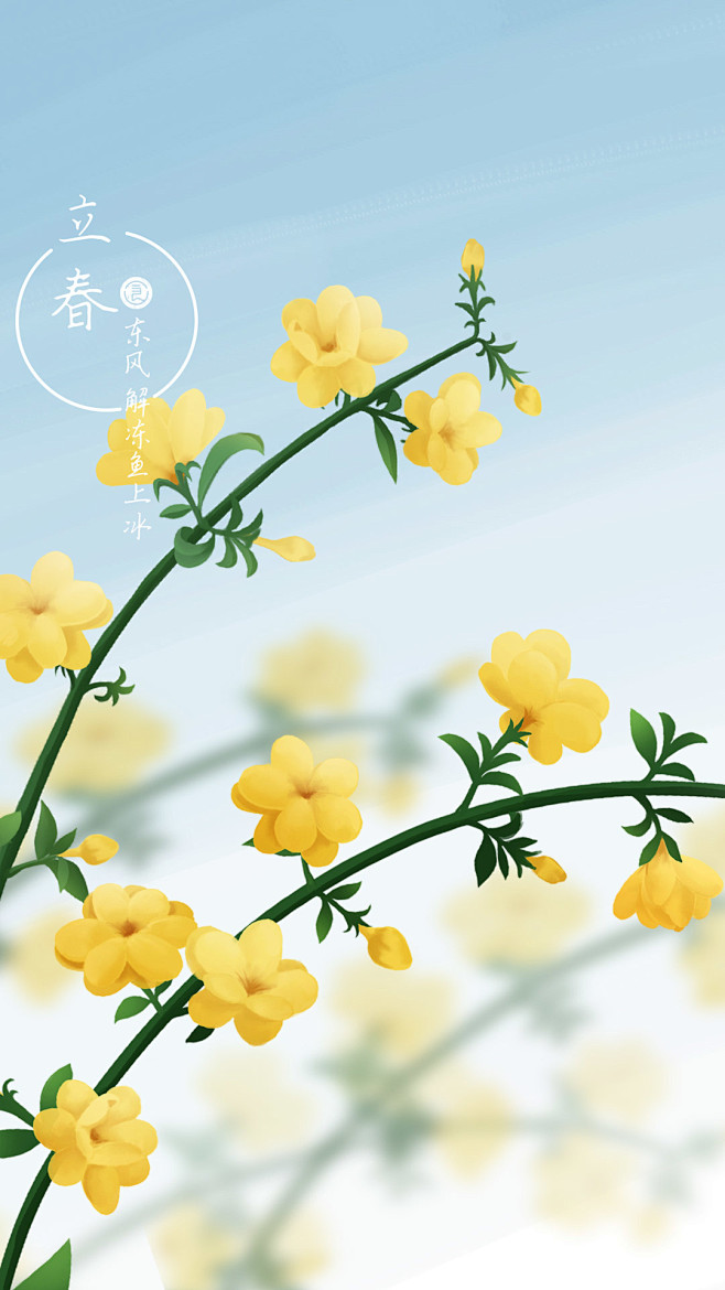立春迎春花手机壁纸丰盛良食手绘插画节气