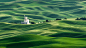 The Rolling Fields of Palouse x by Hamish Mitchell on 500px