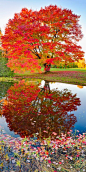 ✯ Twin Lakes State Park, Upper Michigan