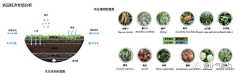 设计气象台采集到分析图