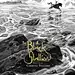 黑神驹 The Black Stallion (1979)(500×667)