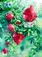 Food  package design  包装设计