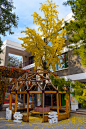 清华大学附属小学官方网站