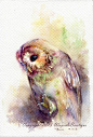 https://www.etsy.com/shop/WaysideBoutique?ga_search_query=owl
