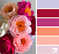 Design Seeds : Design Seeds color palettes ... posted daily for all who love color.