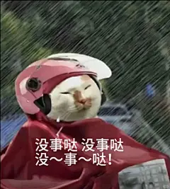 近期下雨天使用频率很高的表情包 - 小红书