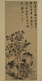 唐寅——《菊花图》水墨纸本 花卉立轴欣赏  |  
明|唐寅(1470—1523)，字伯虎、子畏，以字行，号六如居士、桃花庵主、鲁国唐生、逃禅仙吏等，吴县(今江苏苏州)人。早学沈周、周臣，宗法李唐、刘松年，融会南北画派，笔墨细秀，布局疏朗，风格秀逸清俊。与沈周、文徵明、仇英并称“吴门四家”，又称“明四家”。书取法赵孟頫。诗文与祝允明、文徵明、徐祯卿并称“吴中四才子”。