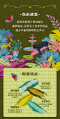 Kaleidos万花镜荆棘花园9色眼影春季珠光闪粉哑光小众品牌彩妆盘-tmall.com天猫