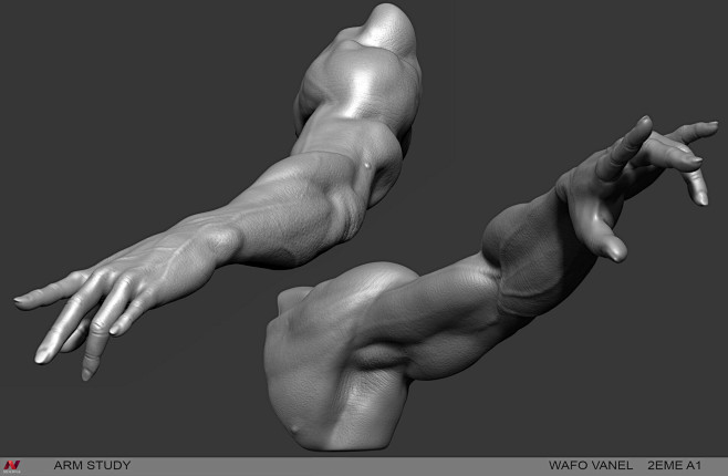 Speed Sculpt Bras, V...