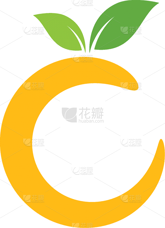 fresh orange fruits logo