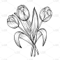 Hand drawn and sketch tulips flower bouquet. Black