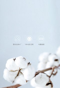 花开的声音1211采集到棉花