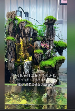 用户iyMwPVgD采集到龟缸