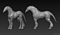Strikehorse