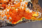 Wulfenite from Arizona
by Dan Weinrich