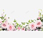 玫瑰花环粉色蔷薇高清素材 png 页面网页 平面电商 创意素材 png素材