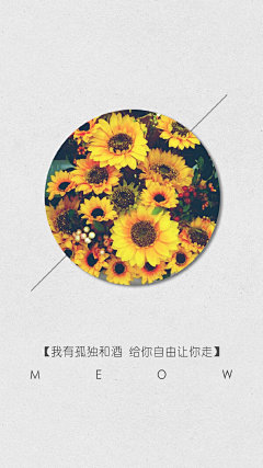 ~倾城吟づ采集到语～心愿づ