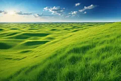 春天小草自然风景摄影图