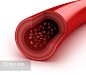 血管切片,Blood vessel sliced macro with erythrocytes. Isolated on white - 图虫创意-全球领先正版素材库-Adobe Stock中国独家合作伙伴