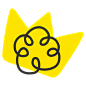 星星王冠