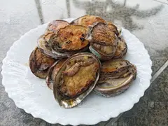 烤肉架,海滩,烤的,食品,扇贝,鲍鱼,肉,羊排,香肠,鱿鱼