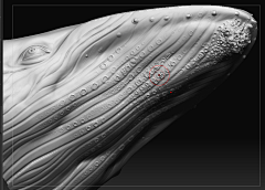璞子的家采集到【Zbrush雕刻进阶】