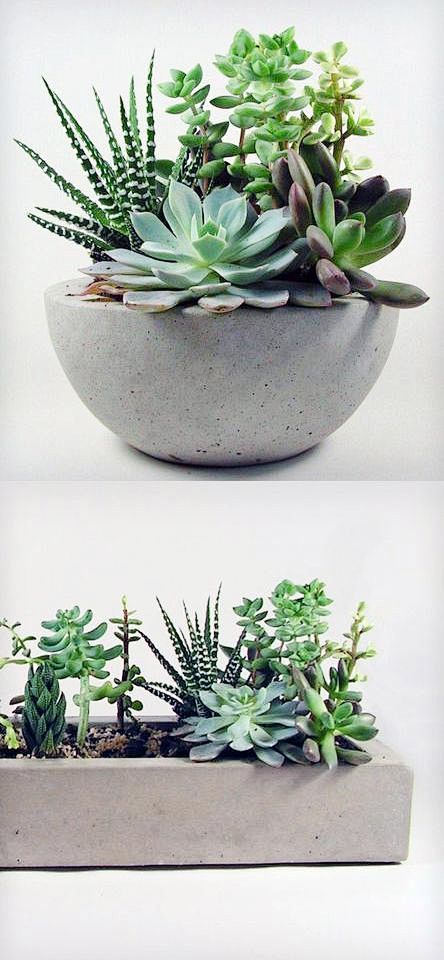 Concrete planters