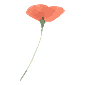 水彩手绘花卉PNG免抠图