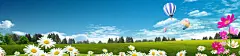 春草天空树木花朵叶子 立春 绿色 背景 花朵 草地 阳光 高清背景 背景 设计图片 免费下载 页面网页 平面电商 创意素材