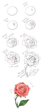 How to draw a rose tutorial by cherrimut on tumblr
