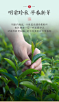 西湖韵龙井茶绿茶茶叶2020新茶春茶明前龙井豆浓香型散装罐装五虎-tmall.com天猫