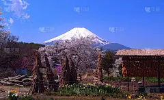 20170429忍野村の農地からの富士山