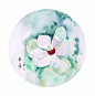 「禅这枝花」。（via @羊鷰 ） ​​​​