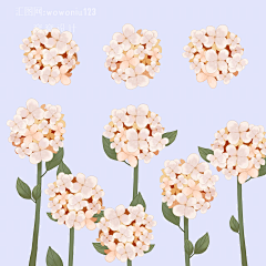 Yvette_7采集到插画植物