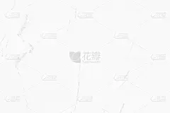 白色大理石花纹纹理背景。