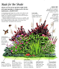 Ideas for an Easy Care Shady Border                                                                                                                                                      More: 