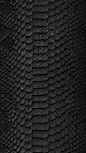 (258) Pinterest