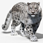 雪豹毛皮猫 3d 3ds