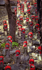 Little Jizo statues in Kamakura, Japan#摄影师##美景##素材##壁纸#