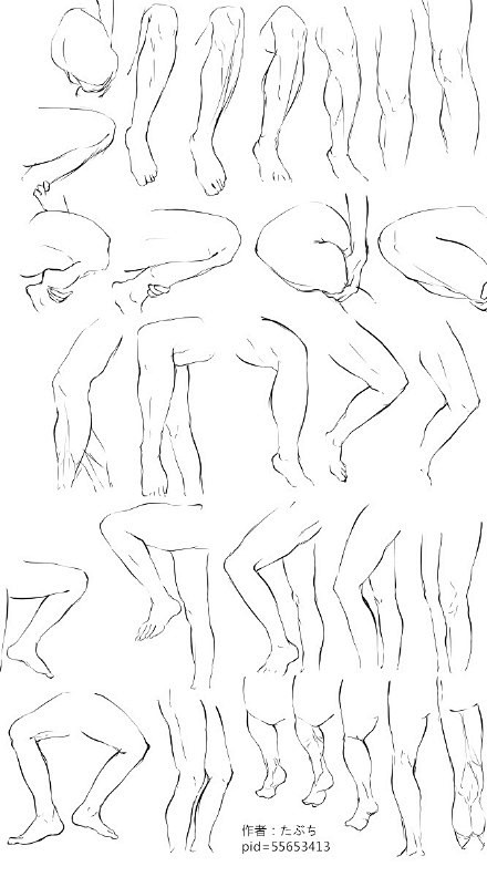 #SAI资源库# 动漫人四肢、足、头部画...