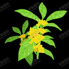 手绘桂花png免抠素材 【酷图网】桂花,手绘桂花,花枝,桂花插画,中秋素材,卡通,黄色的花,花卉,中国画,花鸟,金桂飘香,花叶,桂花叶,八月桂花,桂花香,桂花树,中国风,桂花茶,桂花糕素材,桂花食品,风景,设计海报,广告设计PNG,