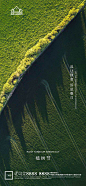地产植树节环保微信海报