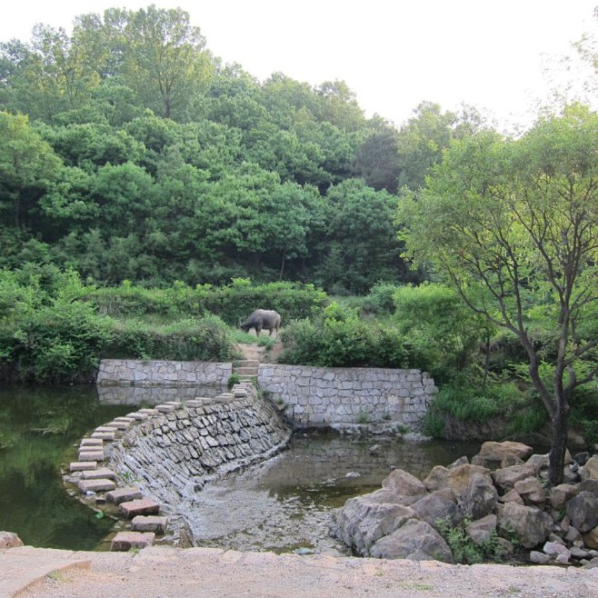 乡村溪流及植物景观