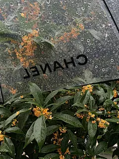 我的收藏 - 微博