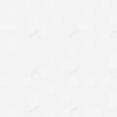 康乃馨时尚花纹 时尚花纹 时尚花纹矢量 植物边框 潮流 纹理 背景 花朵 花纹 蝴蝶 装饰 贺卡 边框 邀 元素 免抠png 设计图片 免费下载 页面网页 平面电商 创意素材