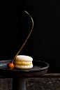 Caramelized Hazelnut Macarons Recipe | Desserts & Sweets (Gluten-Free…