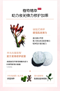 20190221-娇韵诗-焕颜紧致晚霜SPP_04.jpg